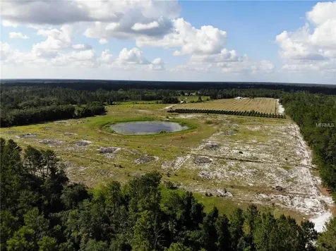 Cottonwood Trail Eustis FL 32736