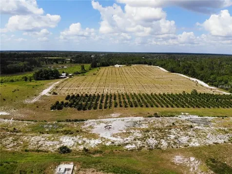 Cottonwood Trail Eustis FL 32736