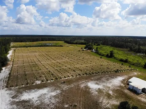 Cottonwood Trail Eustis FL 32736