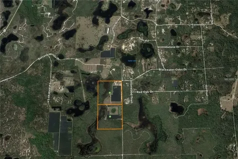 Cottonwood Trail Eustis FL 32736