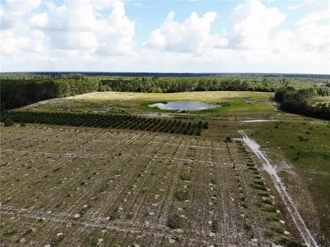 Cottonwood Trail Eustis FL 32736