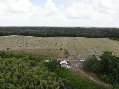 Cottonwood Trail Eustis FL 32736