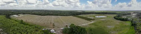Cottonwood Trail Eustis FL 32736