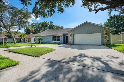 13210 Burnes Lake Drive Tampa FL 33612