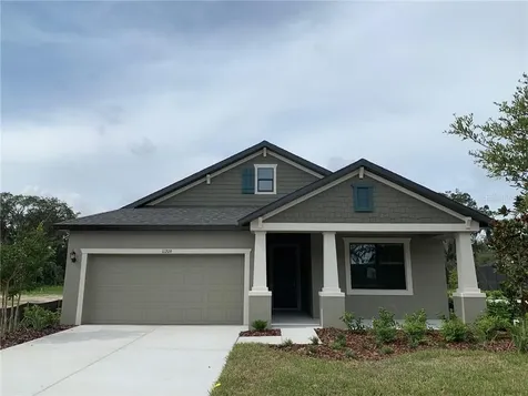 11209 Paddock Manor Avenue Riverview FL 33569