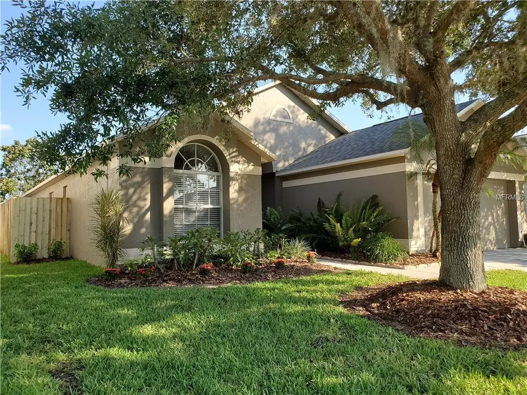 29434 Sea Dahlia Pass Wesley Chapel FL 33543