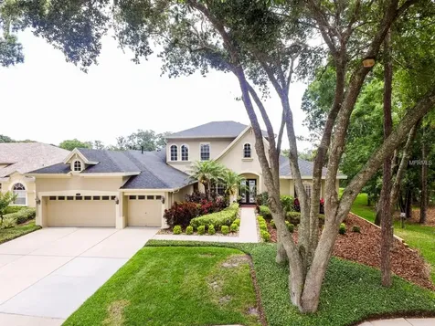 2214 Climbing Ivy Drive Tampa FL 33618