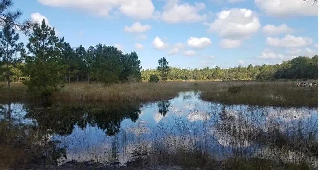 10293 Fulton Avenue Weeki Wachee FL 34613