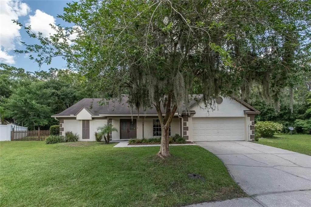 3703 Kingsford Place Valrico FL 33596