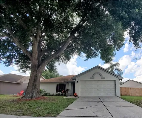 1033 Hornbeam Street Oviedo FL 32765