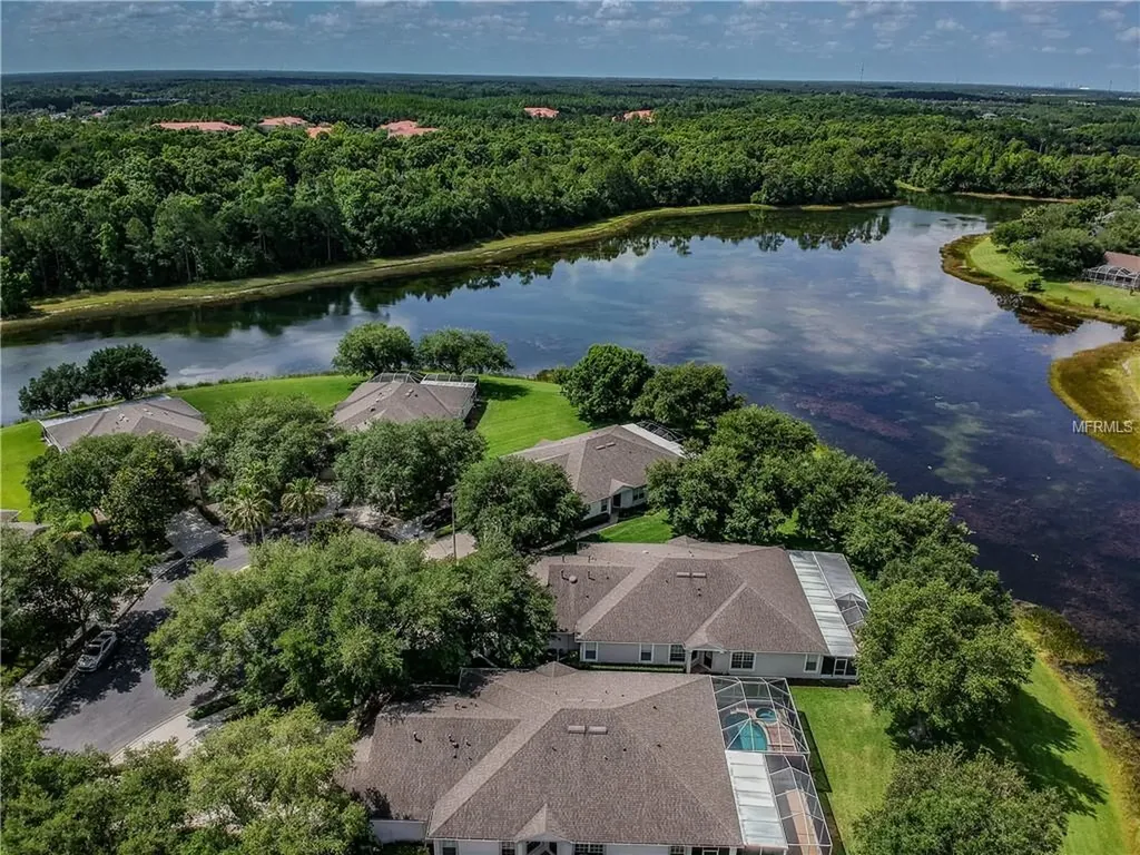 19110 White Wing Place Tampa FL 33647