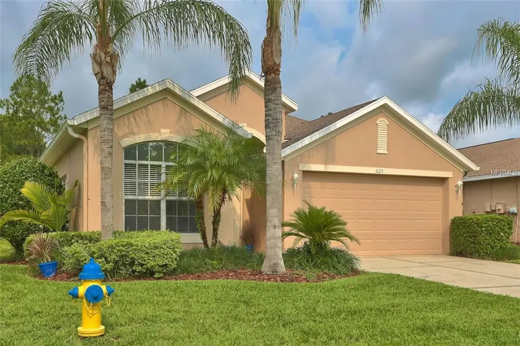3123 Banyan Hill Lane Land O Lakes FL 34639