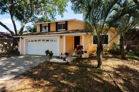 16143 Ravendale Drive Tampa FL 33618