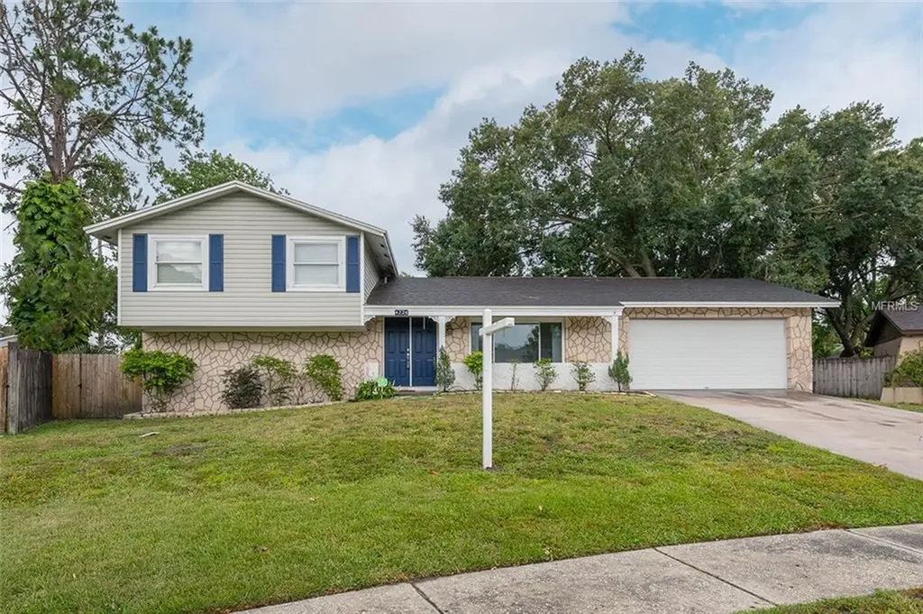 4226 Briarberry Lane Tampa FL 33624