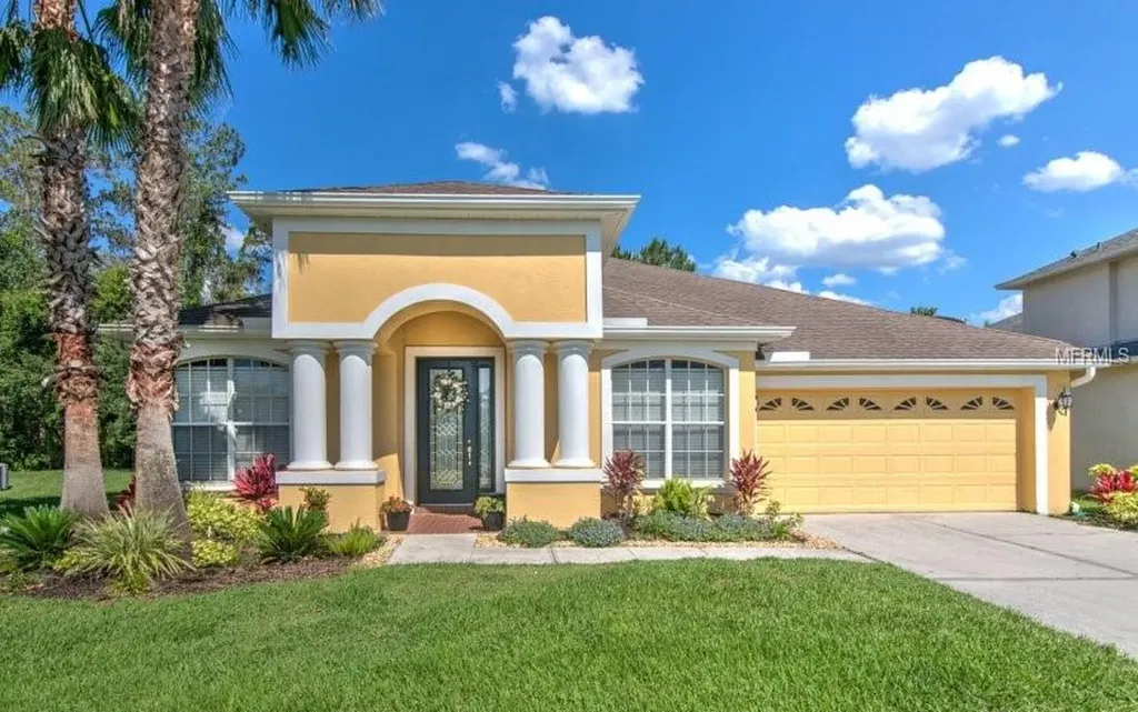 27209 Firebush Drive Wesley Chapel FL 33544