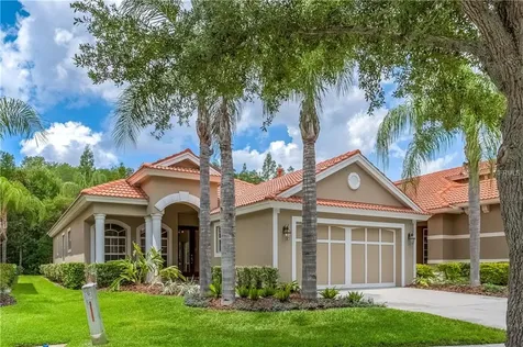 14638 Mirasol Manor Court Tampa FL 33626