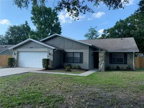 23039 Bellflower Place Land O Lakes FL 34639