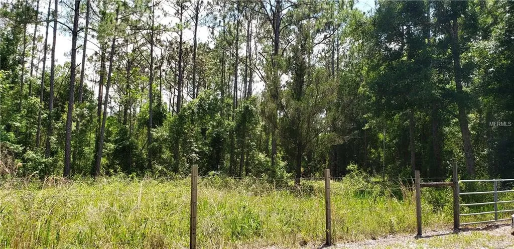 16216 Bearle Road Orlando FL 32828