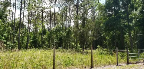 16216 Bearle Road Orlando FL 32828