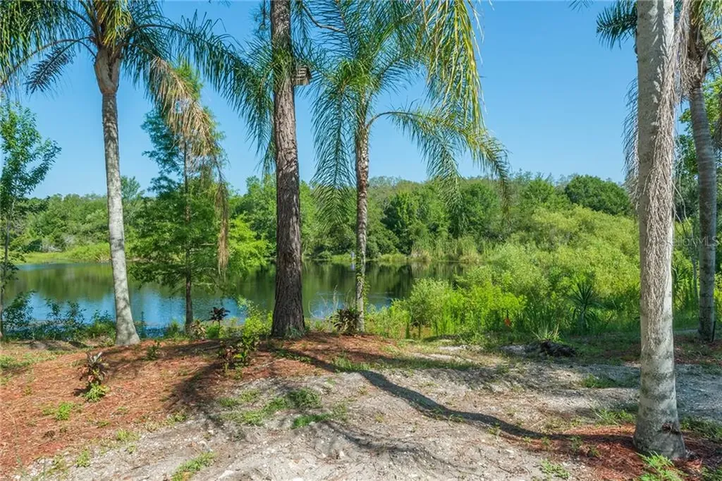 14824 N 19th Street Lutz FL 33549