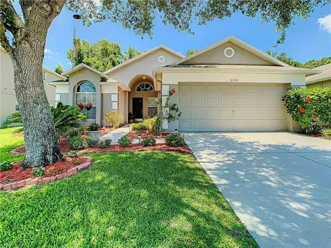 25231 Geddy Drive Land O Lakes FL 34639