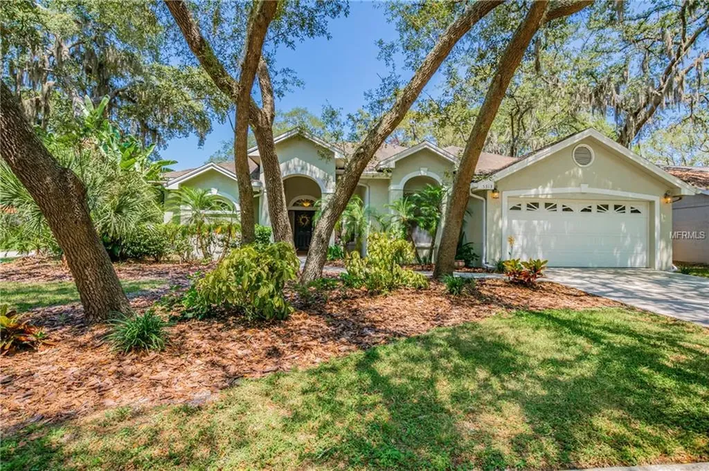 5313 Windbrush Drive Tampa FL 33625