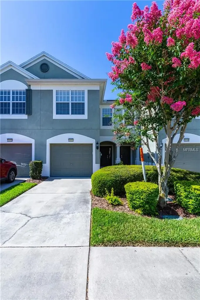 10151 Pink Palmata Court Riverview FL 33578