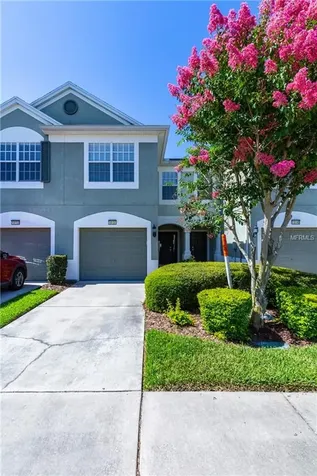 10151 Pink Palmata Court Riverview FL 33578