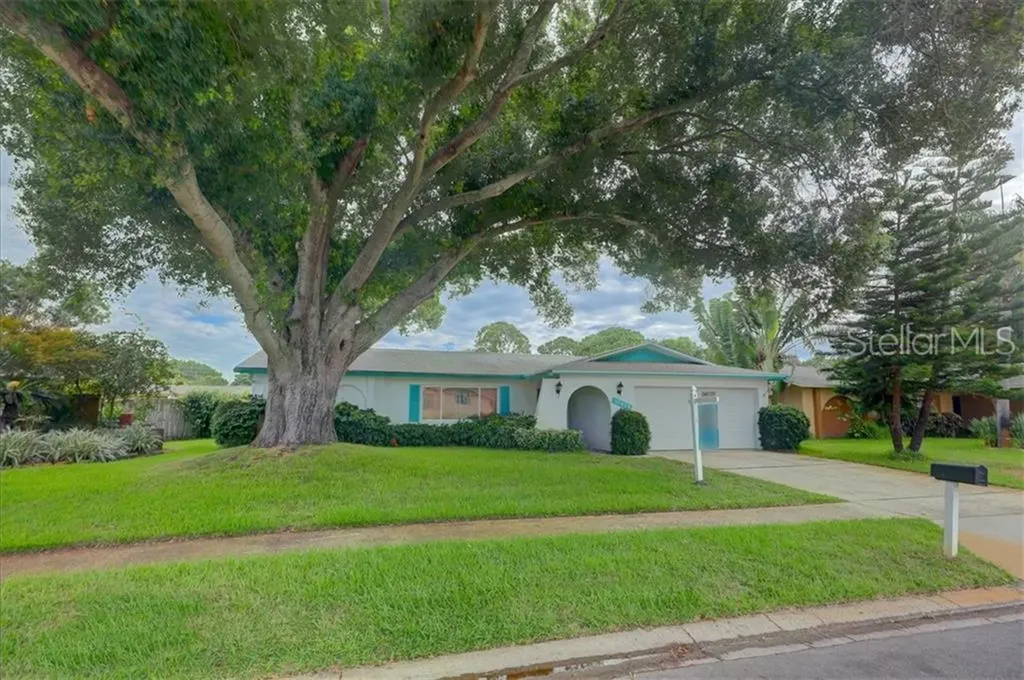 12479 Monarch Circle Seminole FL 33772