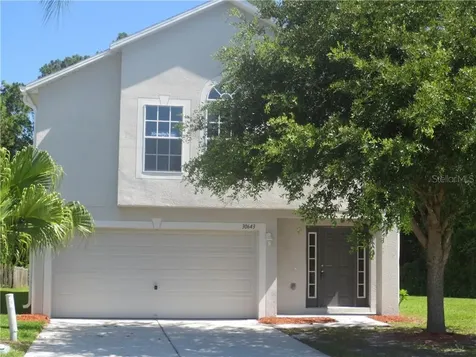 30643 Birdhouse Drive Wesley Chapel FL 33545