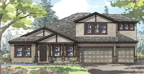 8789 Emeraldwood Way Land O Lakes FL 34637