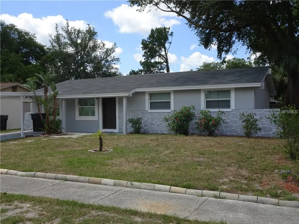 6462 Willow Wood Lane Tampa FL 33634