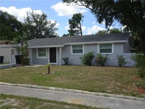 6462 Willow Wood Lane Tampa FL 33634