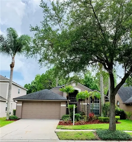 12424 Glenfield Avenue Tampa FL 33626
