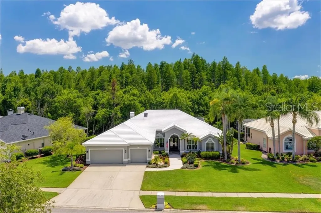 18920 Saint Laurent Drive Lutz FL 33558