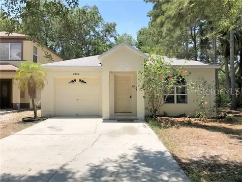 8309 Arabian Dunes Place Riverview FL 33578