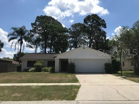 3908 Briarlake Drive Valrico FL 33596