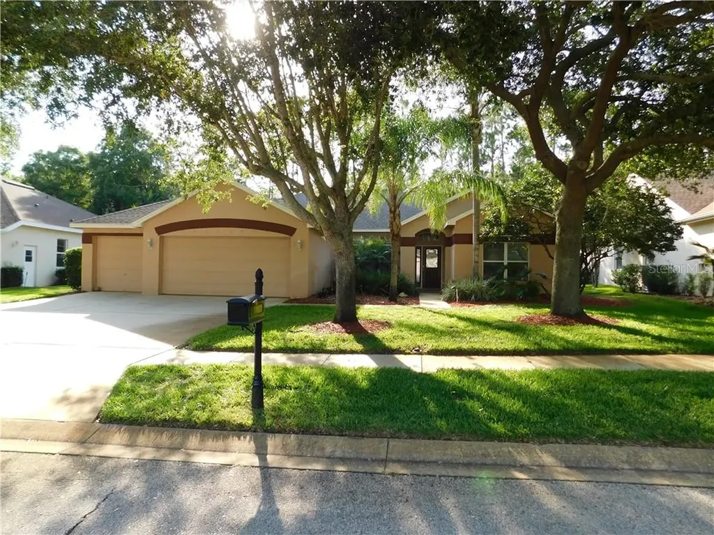 3677 Siena Lane Palm Harbor FL 34685