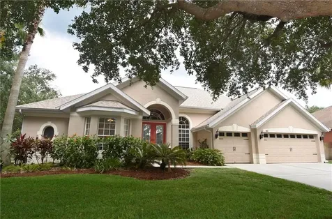 19111 Rosewood Creek Way Tampa FL 33647