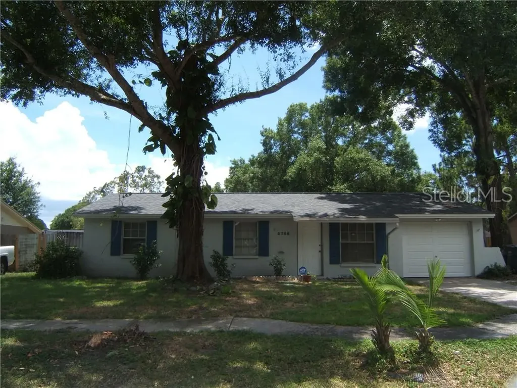 3706 Meadowbreeze Drive Tampa FL 33619