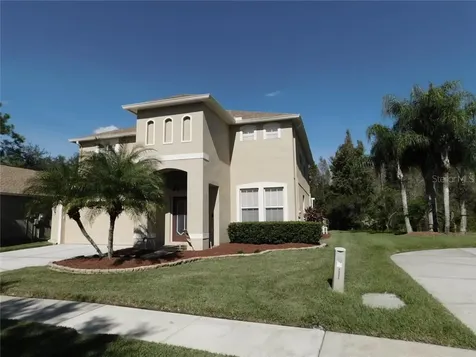19337 Seacove Drive Lutz FL 33558