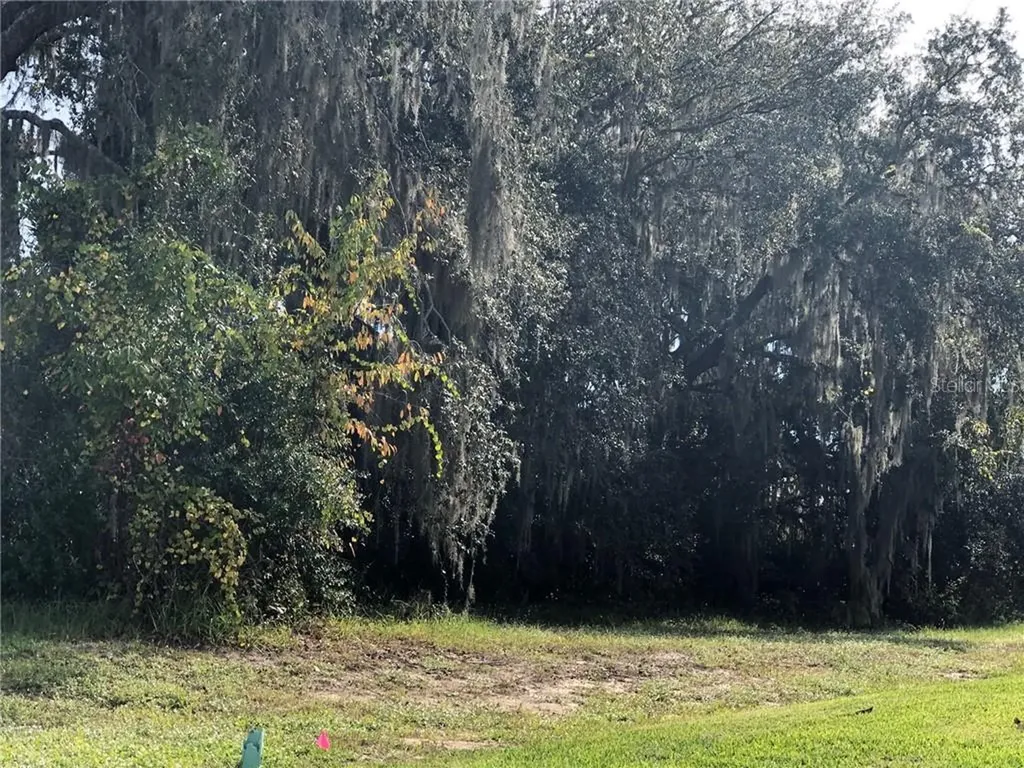 14907 Bassinger Lane Lithia FL 33547