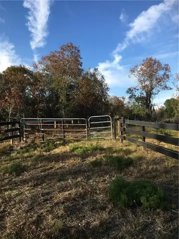 16767 SW 62nd Street Ocala FL 34481