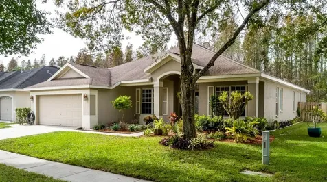 19730 Morden Blush Drive Lutz FL 33558