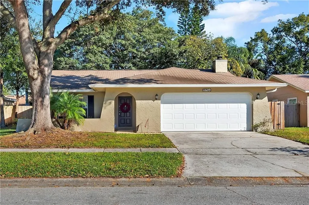 11609 Shady Tree Place Tampa FL 33624