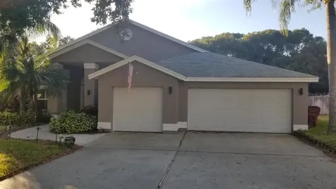 650 Belted Kingfisher Drive N Palm Harbor FL 34683