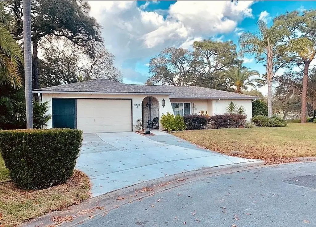 10528 Hillrise Court Port Richey FL 34668
