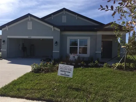 30665 Parrot Reef Court Wesley Chapel FL 33545