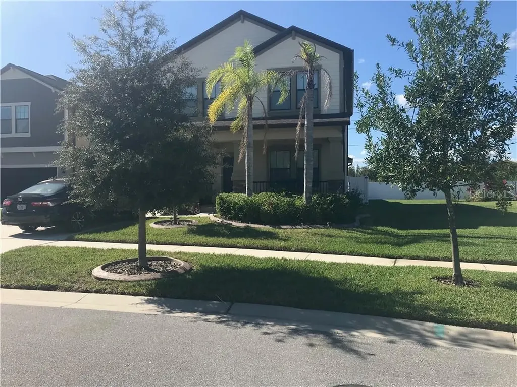 4347 Mount Bandon Drive Land O Lakes FL 34638