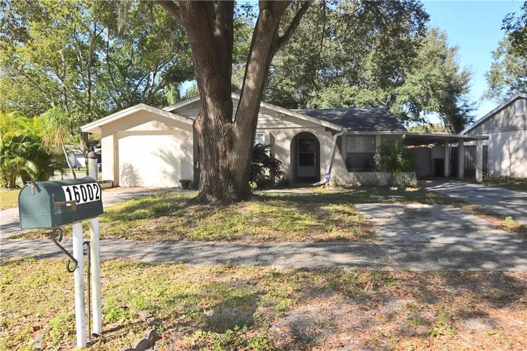 16002 Saddle Creek Drive Tampa FL 33618